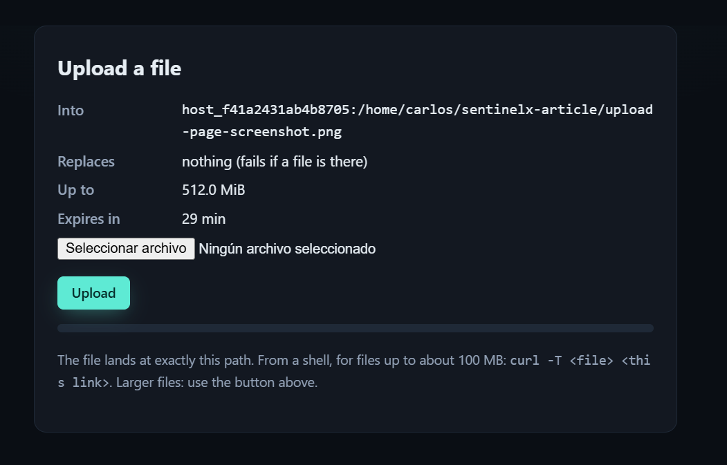 The SentinelX upload page, showing the destination path, the size limit and the expiry before the file is sent