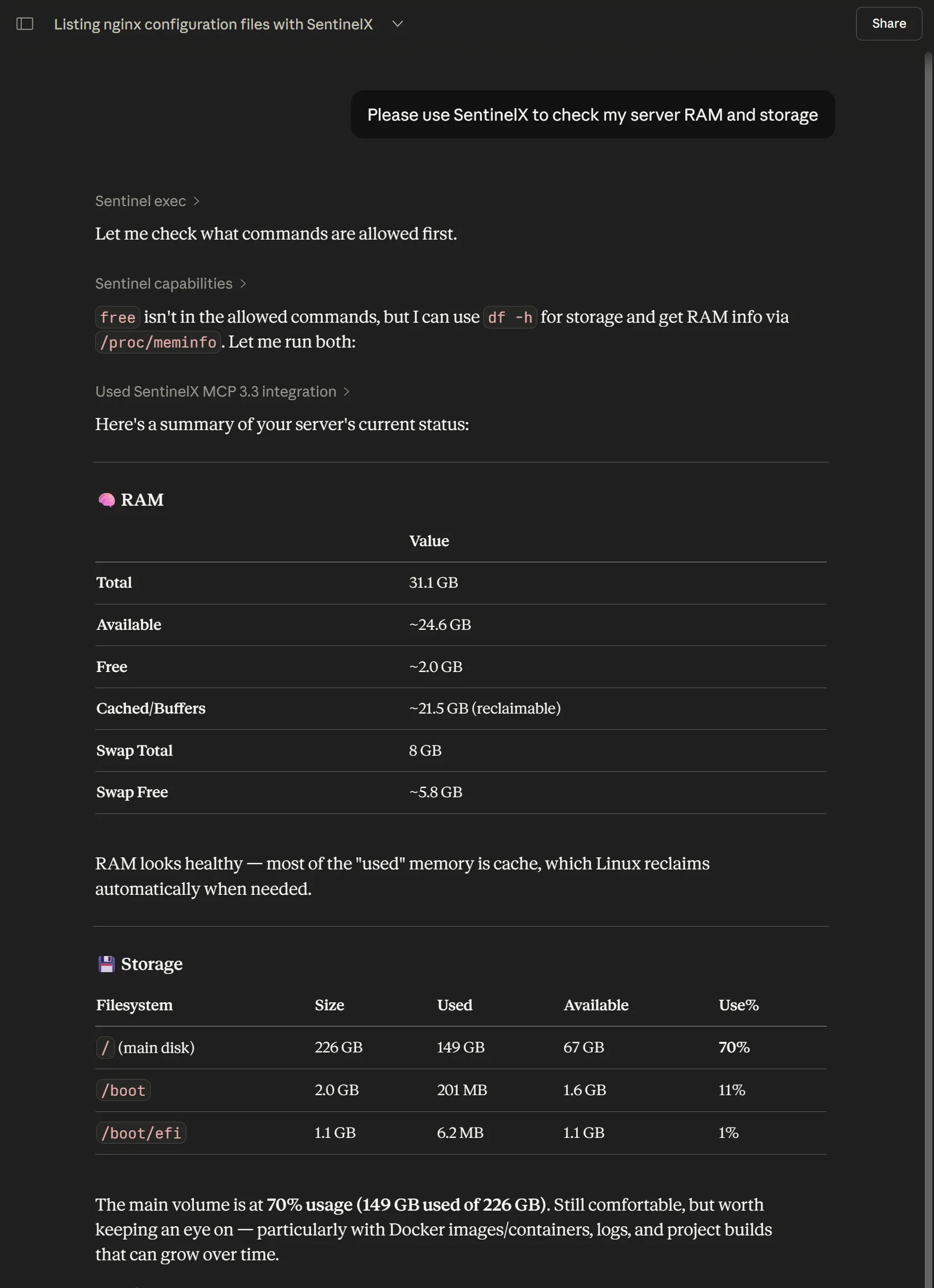 SentinelX checking a server's RAM and storage from ChatGPT